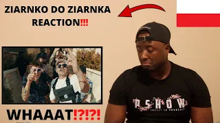 chillwagon - ziarnko do ziarnka POLISH RAP MUSIC REACTION // PSHOW REACTION!!!