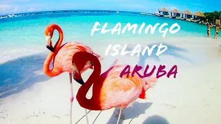 Flamingo Beach Aruba & Me (I got attacked, welp 😂)