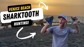 HOW TO HUNT FOR SHARK TEETH! Venice Beach and Casperson Beach Florida. SHARK TOOTH techniques