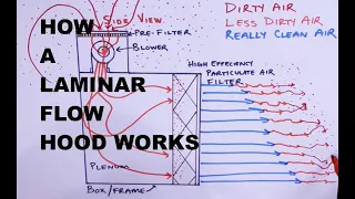 How and Why a Laminar Flow Hood Works - Prevent Contamination for Cultivating Mushrooms at Home