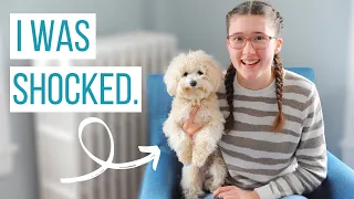 I GOT A DOG AFTER 7 YEARS OF PLEADING | Why My Parents Said YES to a Maltipoo