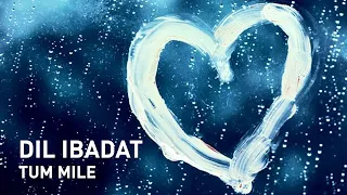 Dil Ibaadat (Tum Mile) Piano Instrumental