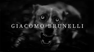 How To Do Animal Street Photography Like Giacomo Brunelli