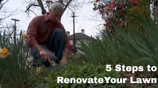 How to Renovate Your Lawn in Five Steps