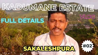 ಕಾಡುಮನೆ ಟೀ ಎಸ್ಟೇಟ್ ಸಕಲೇಶಪುರ | Kadumane Tea estate | Full detailed Video | Best place to visit | 4K