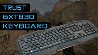 Trust GXT 830 Gaming Keyboard (Unboxing) (deutsch/German) | WPLive