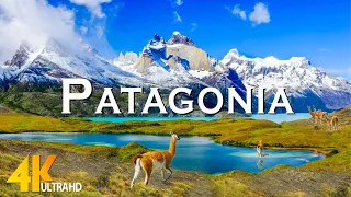 Patagonia National Park 4K - Scenic Relaxation Film with Inspiring Cinematic Music