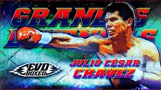 ►JULIO CESAR CHAVEZ // 🥊El Máximo Ídolo del Boxeo Mexicano🥊  (Grandes Leyendas del BOXEO #7)
