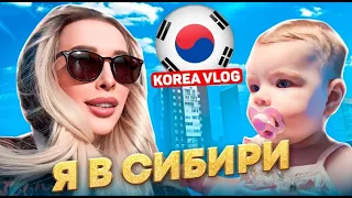 Вернулась в Сибирь/시베리아 출신이다/I am from Siberia/Korea vlog