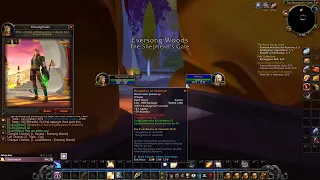 WoW: TBC Stream - Level 8 Blood Elf Paladin Leveling