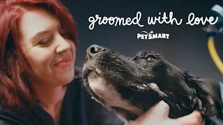 PetSmart Groomed with Love