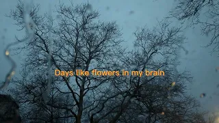 Kung Fu Junkie - Flowerz in My Brain (Lyrics video)