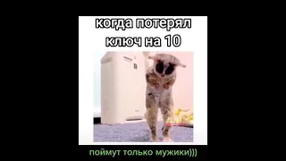 Потерял ключик на 10