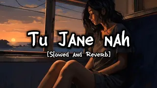 Tu Jane nah | | (slowed and Reverb) | | Lofi Cloud Beats