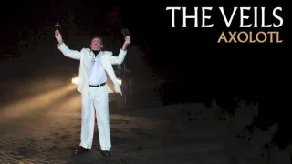 The Veils - Axolotl (Audio)