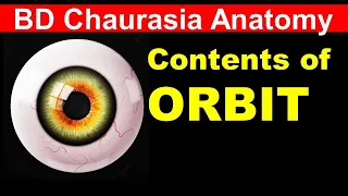 Chp13 BDC Vol3 | Contents of ORBIT | Dr Asif Lectures | BD Chaurasia