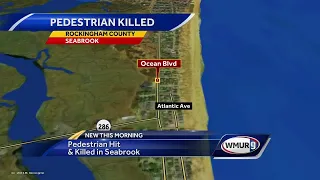 Pedestrian killed in Seabrook