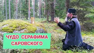 Чудо Серафима Саровского: Преподобный Серафим Саровский - Современные Чудеса.