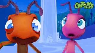 Aqua Adventure💧 | Funny Cartoons For All The Family! | Funny Videos for kids | ANTIKS 🐜🌿