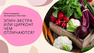 Эпин-Экстра или Циркон...чем отличаются...что лучше?