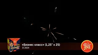 Батарея салютов Бизнес класс EC664