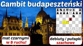 SZACHY 315# Gambit budapeszteński debiut szachowy pułapka szachowa analiza otwarcia. 8 ruchów i mat!