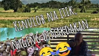 Kinulob na itik with dinakdakan (Nasunog😱😭)