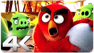 ANGRY BIRDS Crazy Moments 4K ᴴᴰ