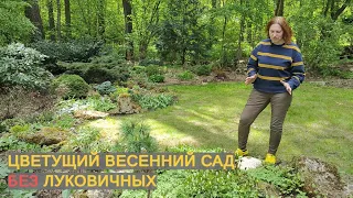 Видео журнал "СОФ №99.5"  МАЛЕНЬKИЙ ВЕСЕННИЙ ШЕДЕВР. Цветущий сад коллекционера в середине мая