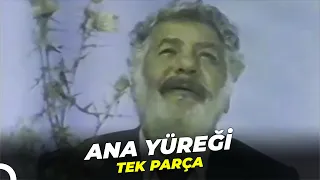 Ana Yüreği | Erol Taş Eski Türk Filmi Full İzle