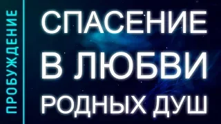 ПРОБУЖДЕНИЕ # 8. СПАСЕНИЕ В ЛЮБВИ РОДНЫХ ДУШ (Андрей и Шанти Ханса)