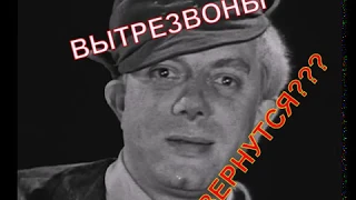 Вытрезвители вернутся