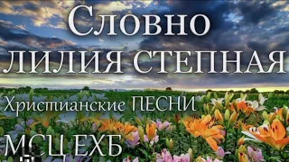 богар христианские песни мсц ехб