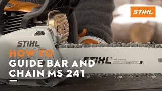 STIHL MS 241 ꘡ How to check the guide bar and saw chain of a chainsaw | Instruction