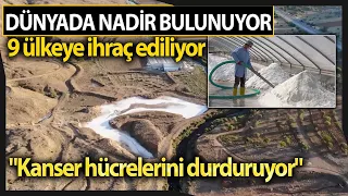 Dünyada Nadir Bulunan Mineral Deposu Tuz 9 Ülkeye İhraç Ediliyor