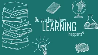 How Learning Happens?