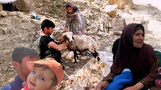 Last year, Jamshid did sheep with Ghadir Tayyaba and wool picking, but now he is alone.