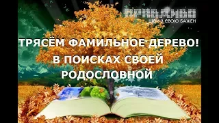 Трясём фамильное дерево! В поисках Своей Родословной! — ПравДиво шоу