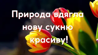 Вітання з приходом весни! Зі святом весни!