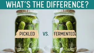 PICKLING vs FERMENTING - What's the Difference? Quick Grocery Store I.D.