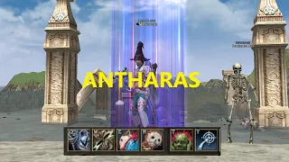 Lineage 2 Asterios x5 Antharas 15.04