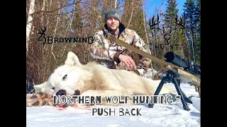 NORTHERN WOLF HUNTING 3 (PUSH BACK)
