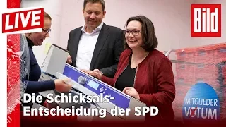 SPD sagt JA zur GroKo: Die Entscheidung über die GroKo