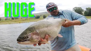 HUGE TROUT floating a SECRET RIVER!