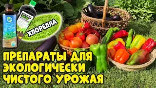 ХЛОРЕЛЛА И ДРУГИЕ ПРЕПАРАТЫ ДЛЯ ЭКОЛОГИЧЕСКОГО ЗЕМЛЕДЕЛИЯ