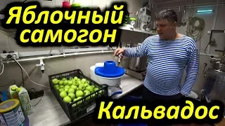 Алкокухня: Яблочный Самогон или Кальвадос в домашних условиях