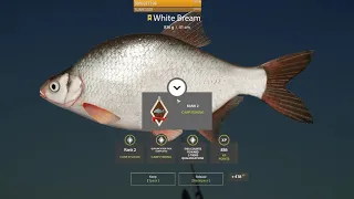 Russian Fishing 4 - trophy white bream at Old Burg