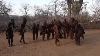 Himba Namibia, songs and dances