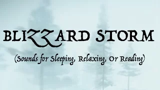 ❄️SOUNDS OF A BLIZZARD STORM (Sleep, Relax, Or Read)