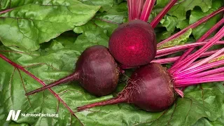 Best Brain Foods: Greens and Beets Put to the Test
